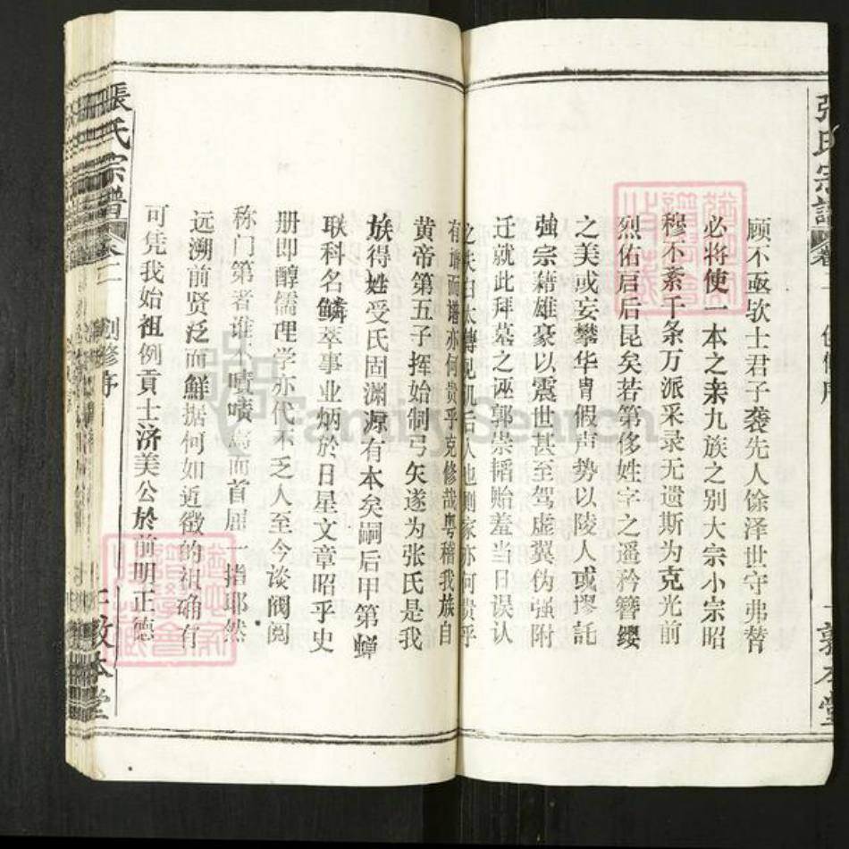 湖北省张氏敦本堂族谱-张氏宗谱.pdf电子版插图3