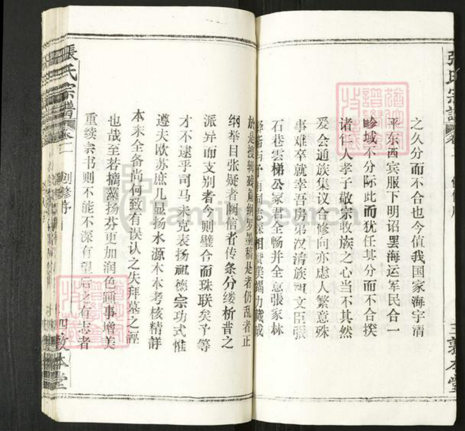 湖北省张氏敦本堂族谱-张氏宗谱.pdf电子版插图5