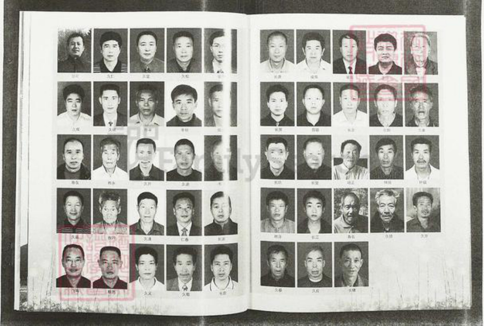 福建省莆田市仙游县游洋镇张氏清河堂族谱-龙溪张氏总谱.pdf电子版插图4