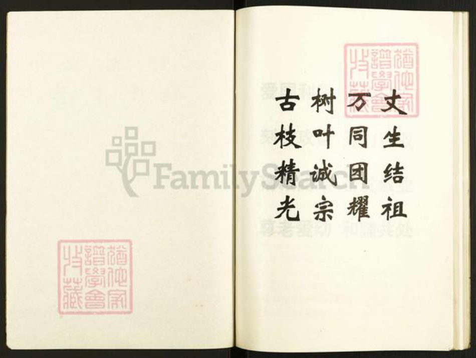 江苏省盐城市建湖县近湖街道张氏百忍堂族谱-张氏支谱.pdf电子版插图1