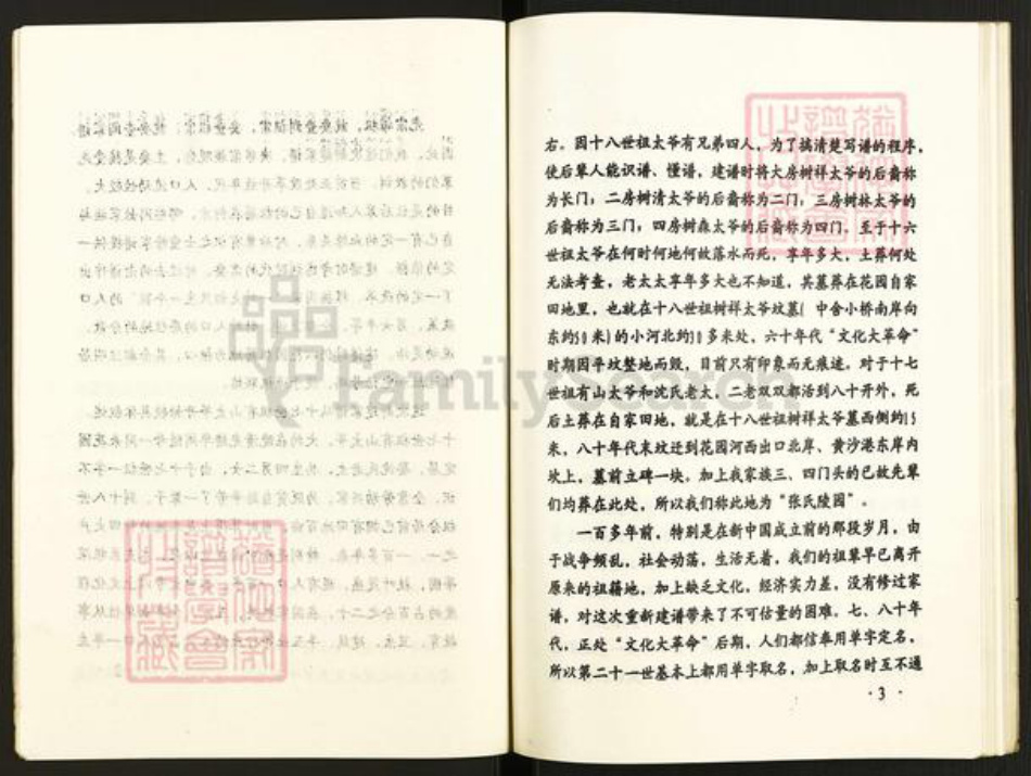 江苏省盐城市建湖县近湖街道张氏百忍堂族谱-张氏支谱.pdf电子版插图5