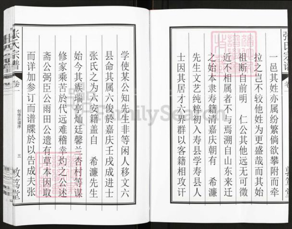 安徽省六安市六安马头镇张氏敦笃堂族谱-张氏宗谱.pdf电子版插图4