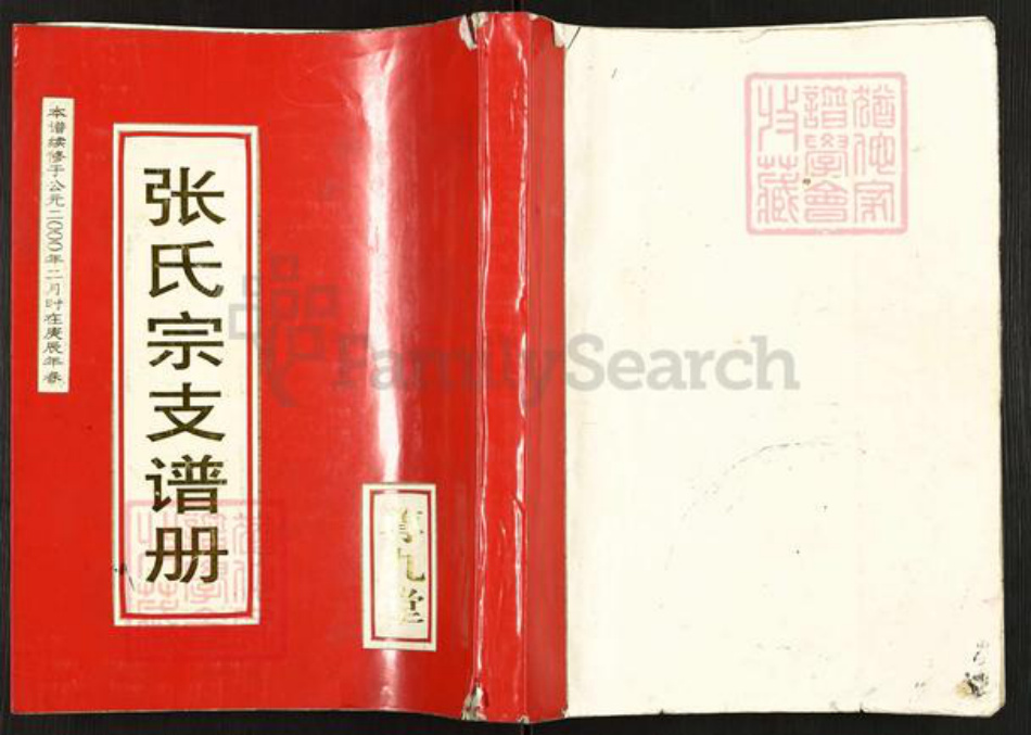 江苏省盐城市建湖县张氏尊九堂族谱-张氏宗支谱册.pdf电子版