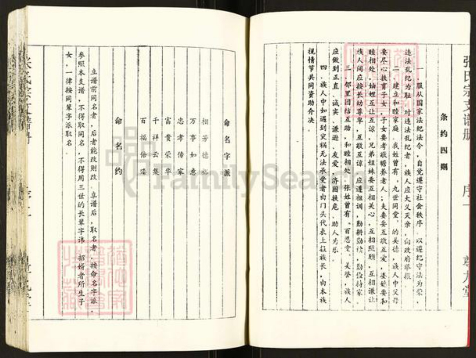 江苏省盐城市建湖县张氏尊九堂族谱-张氏宗支谱册.pdf电子版插图2