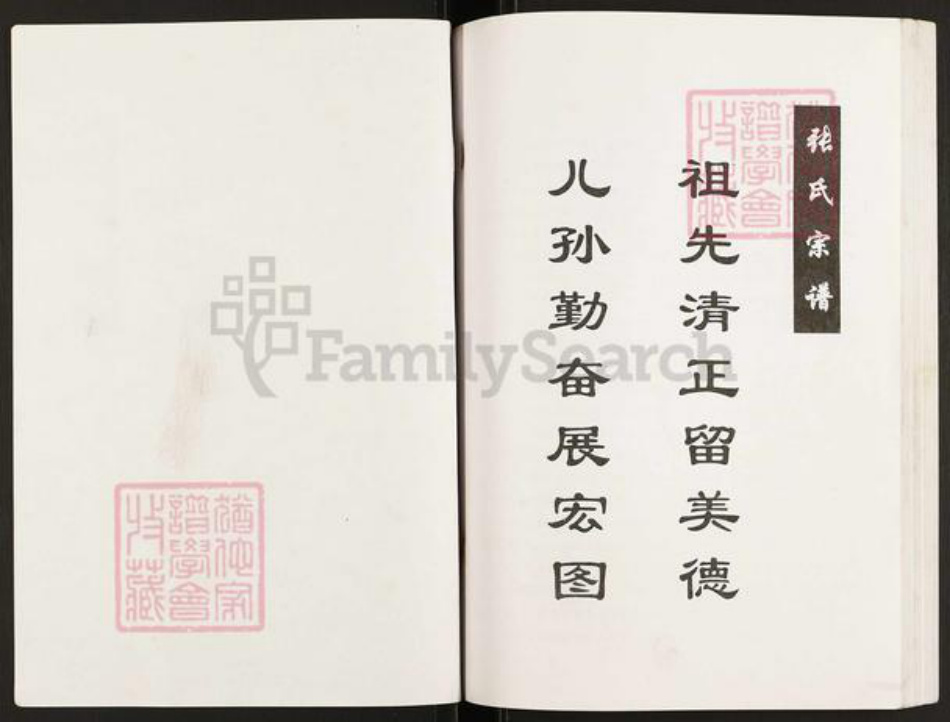 江苏省盐城市亭湖区张氏百忍堂族谱-盐城张氏宗谱.pdf电子版插图1 江苏省盐城市亭湖区张氏百忍堂族谱-盐城张氏宗谱.pdf电子版插图1