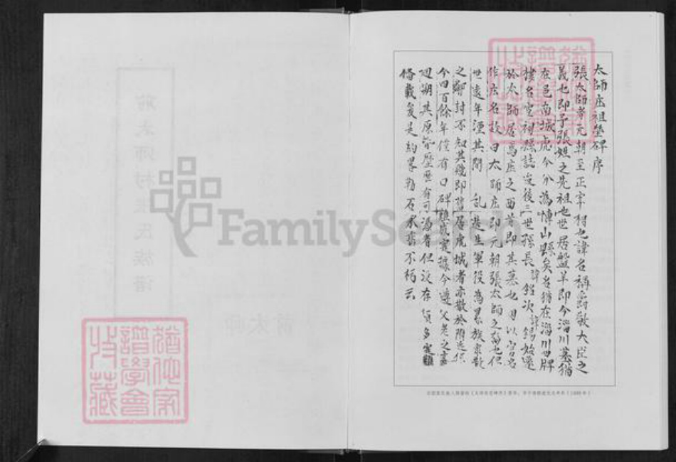 山东省淄博市周村区张氏族谱-前太师村张氏族谱.pdf电子版插图4