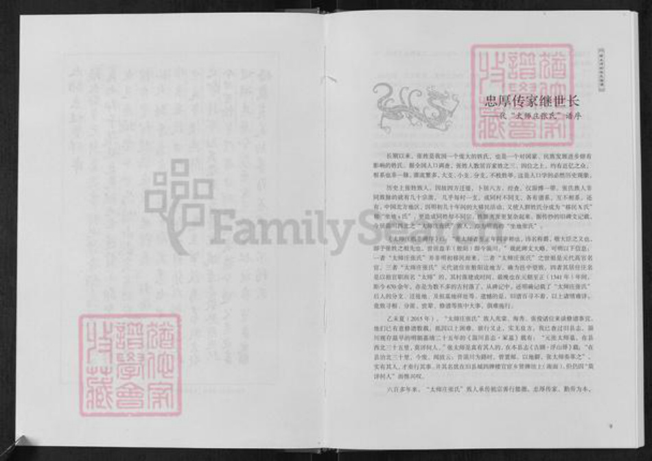 山东省淄博市周村区张氏族谱-前太师村张氏族谱.pdf电子版插图5