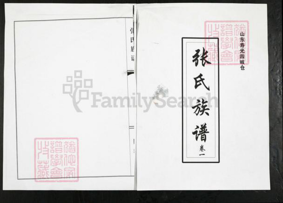 山东省潍坊市寿光市侯镇张氏族谱-张氏族谱.pdf电子版