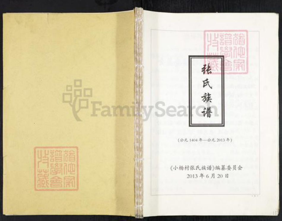 河北省沧州盐山县庆云镇张氏族谱-张氏族谱.pdf电子版