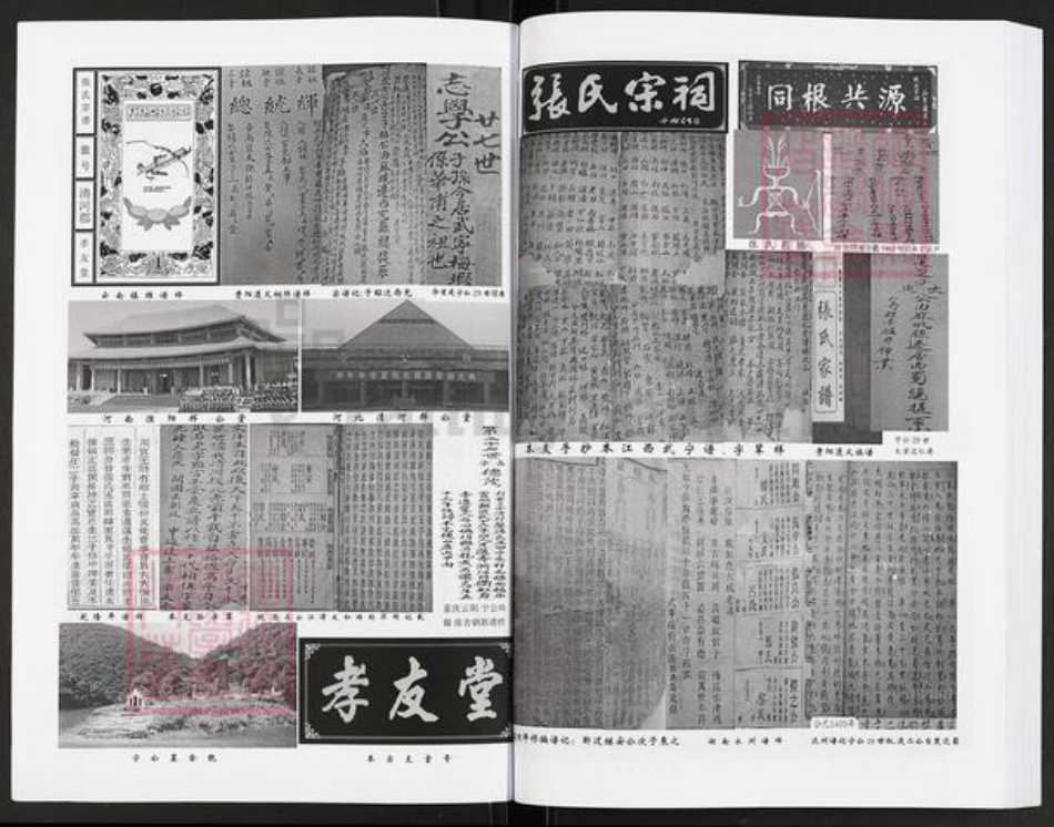 四川省成都市简阳市禾丰镇张氏孝友堂族谱-张氏宗谱.pdf电子版插图4