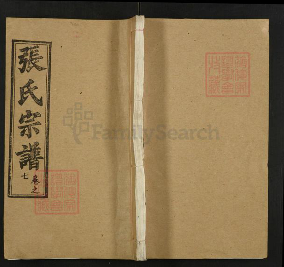 湖北省武汉市新洲区张氏守铭堂族谱-张氏宗谱.pdf电子版