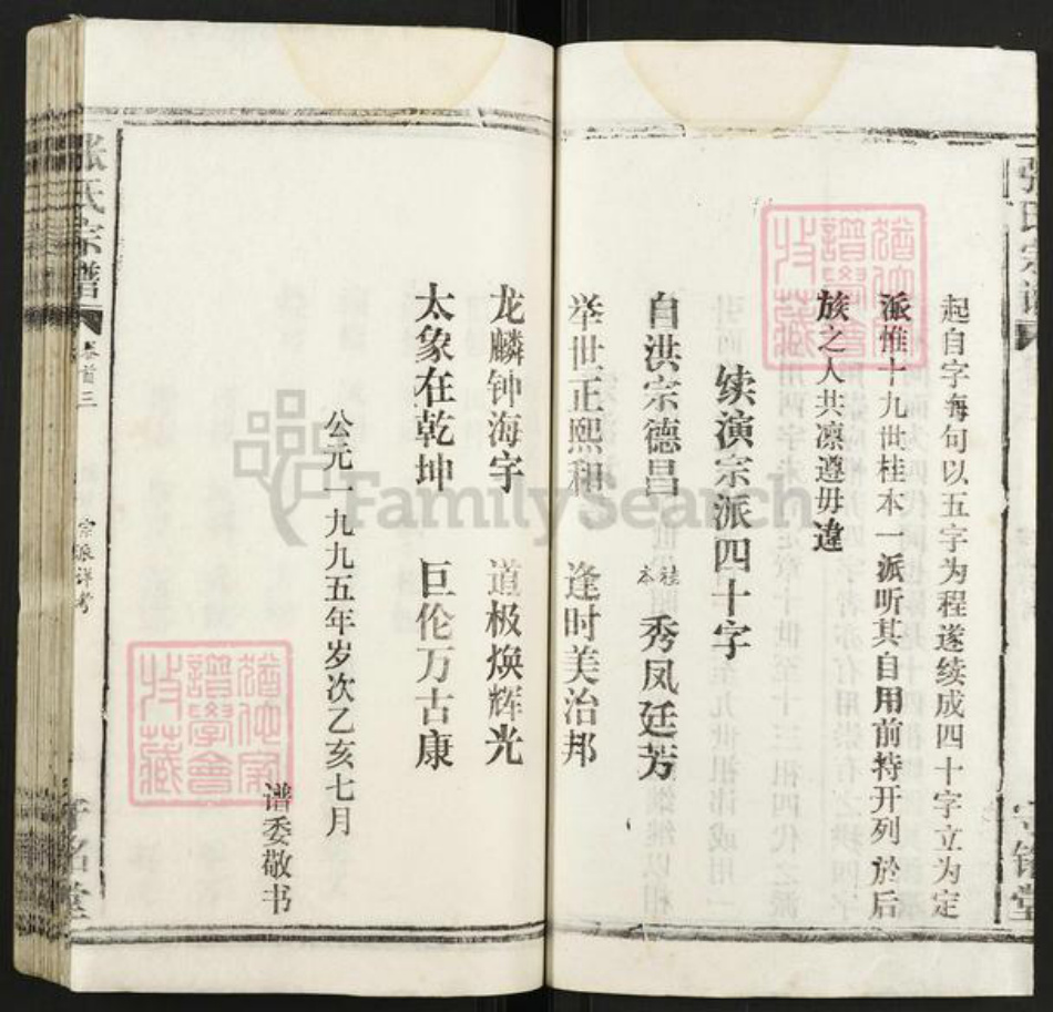 湖北省武汉市新洲区张氏守铭堂族谱-张氏宗谱.pdf电子版插图4