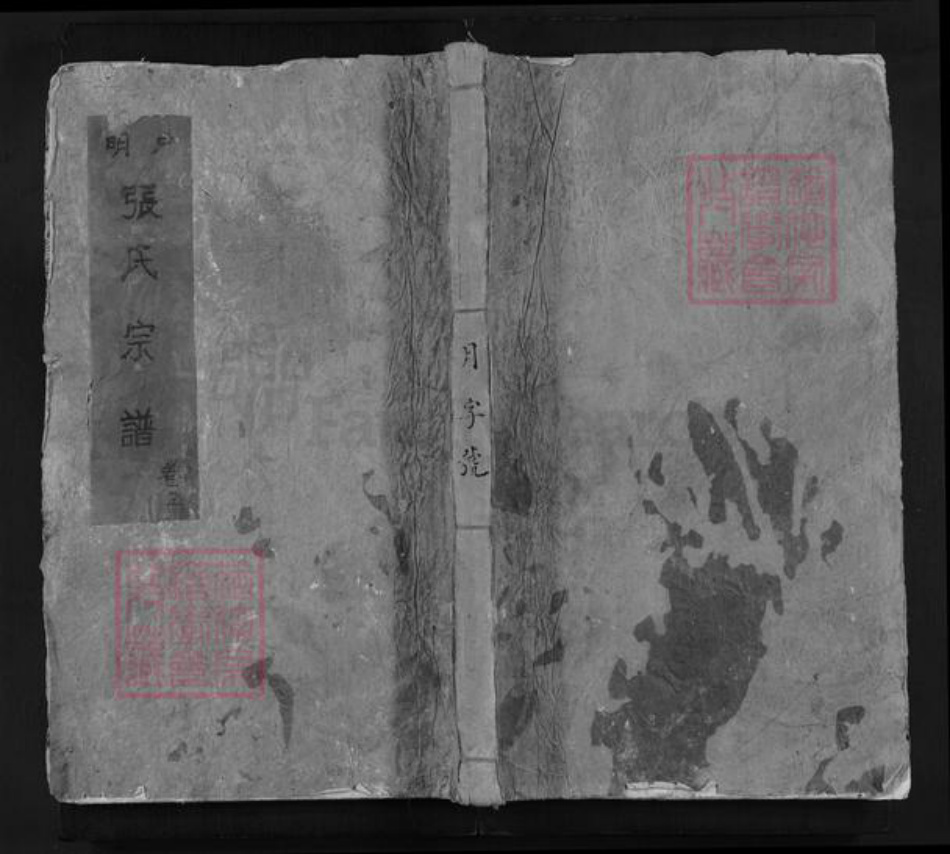 福建省江西省赣州市宁都县张氏族谱-张氏六修族谱正宗 [残卷].pdf电子版