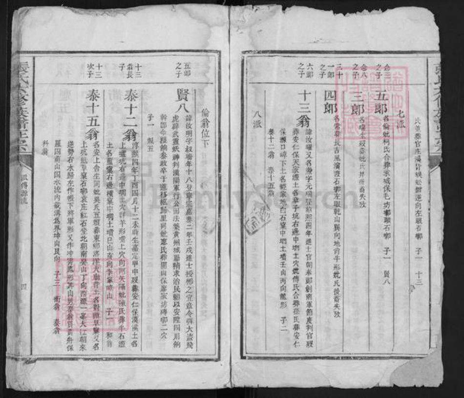 福建省江西省赣州市宁都县张氏族谱-张氏六修族谱正宗 [残卷].pdf电子版插图2