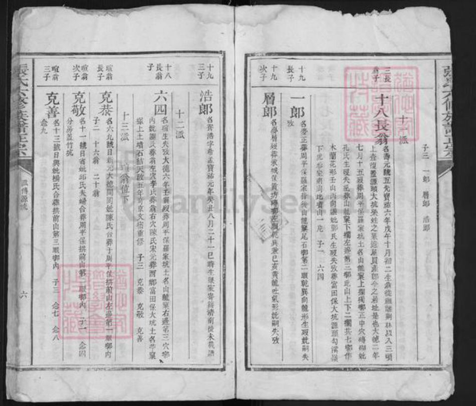 福建省江西省赣州市宁都县张氏族谱-张氏六修族谱正宗 [残卷].pdf电子版插图4