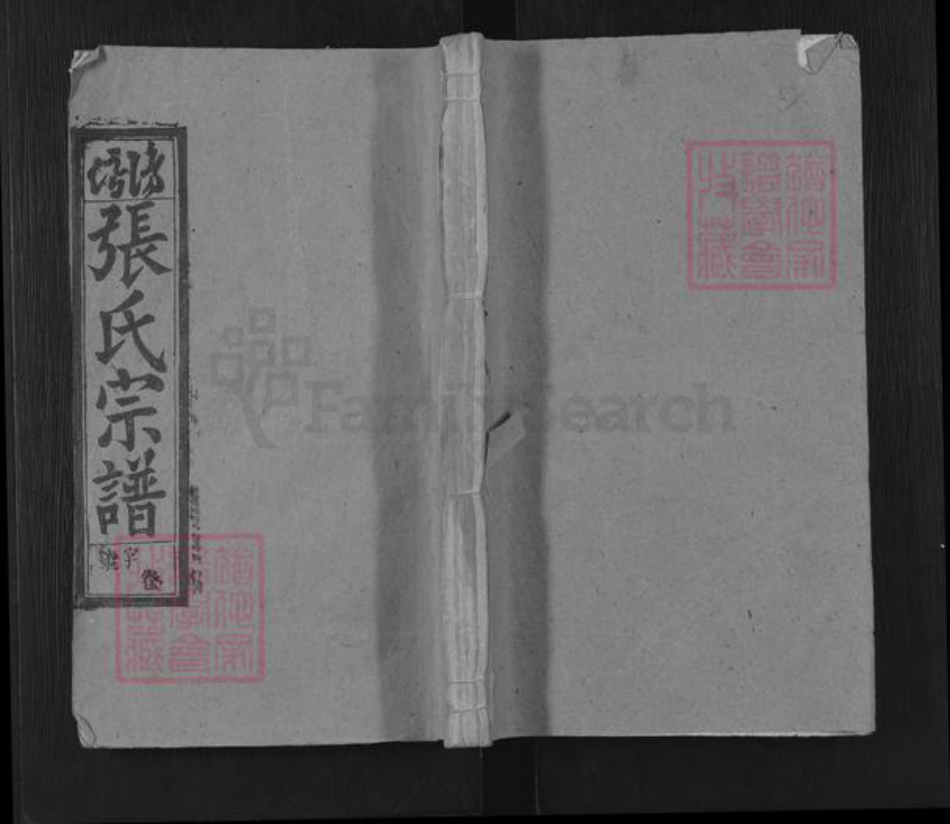 安徽省安庆市潜山市张氏承善堂族谱-张氏族谱.pdf电子版