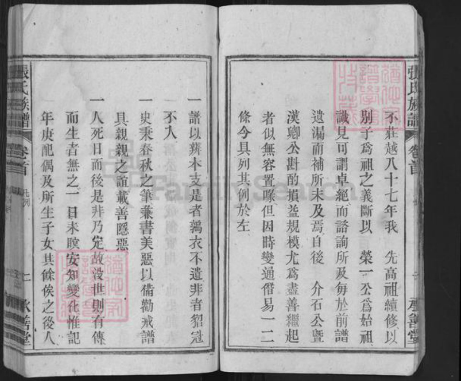 安徽省安庆市潜山市张氏承善堂族谱-张氏族谱.pdf电子版插图5