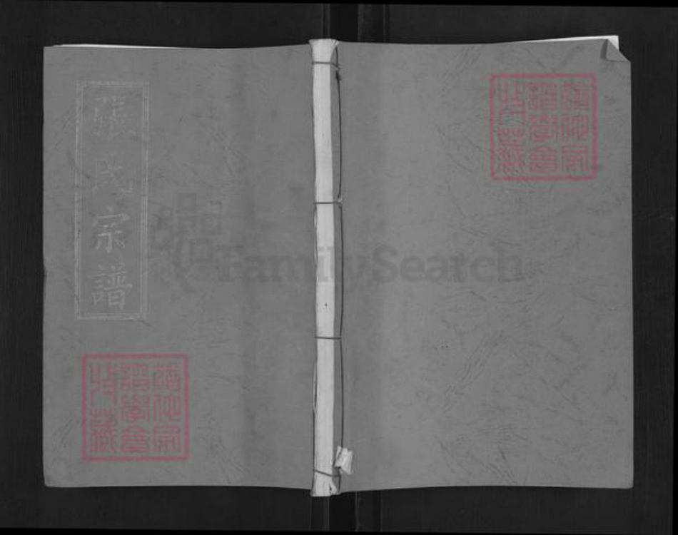 湖北省武汉市黄陂区张氏余庆堂族谱-张氏宗谱.pdf电子版