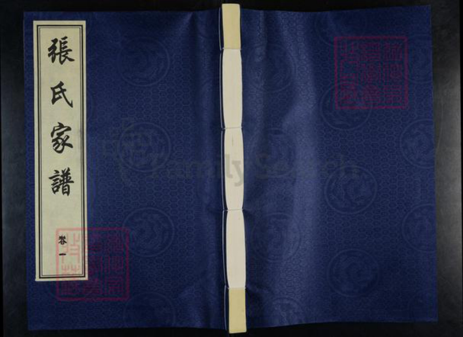 山东省德州市平原县腰站镇张氏族谱-张氏家谱.pdf电子版