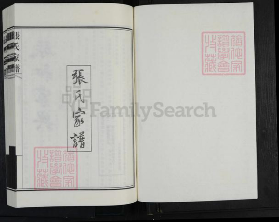 山东省德州市平原县腰站镇张氏族谱-张氏家谱.pdf电子版插图1