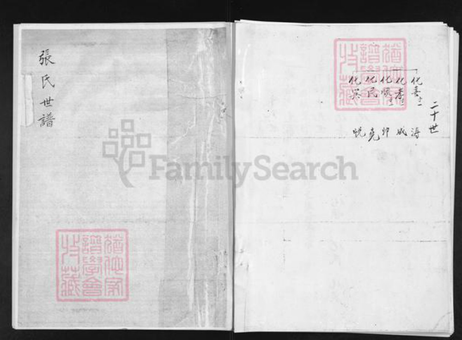 山东省淄博市沂源县张氏族谱-张氏世谱.pdf电子版