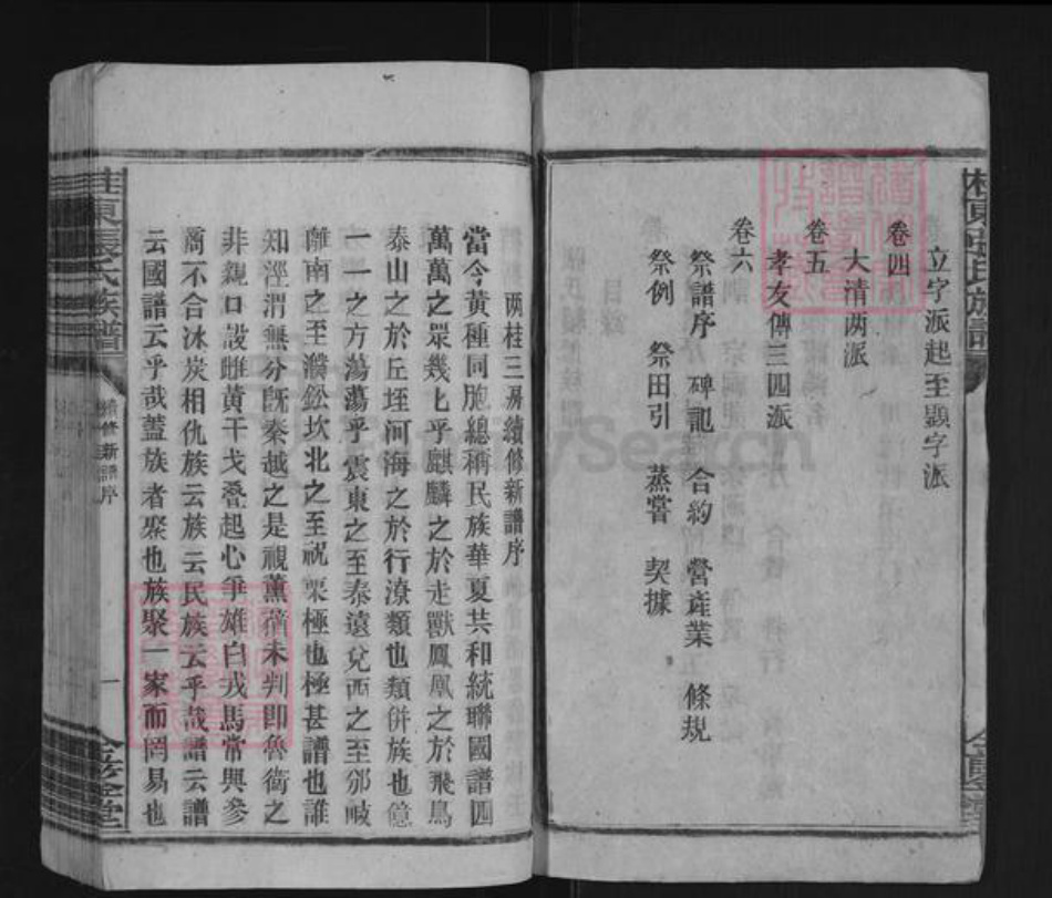 湖南省郴州市桂东县大塘镇张氏金鉴堂族谱-桂东张氏族谱.pdf电子版插图2 湖南省郴州市桂东县大塘镇张氏金鉴堂族谱-桂东张氏族谱.pdf电子版插图2