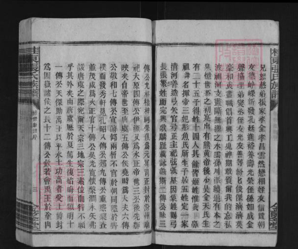 湖南省郴州市桂东县大塘镇张氏金鉴堂族谱-桂东张氏族谱.pdf电子版插图4 湖南省郴州市桂东县大塘镇张氏金鉴堂族谱-桂东张氏族谱.pdf电子版插图4