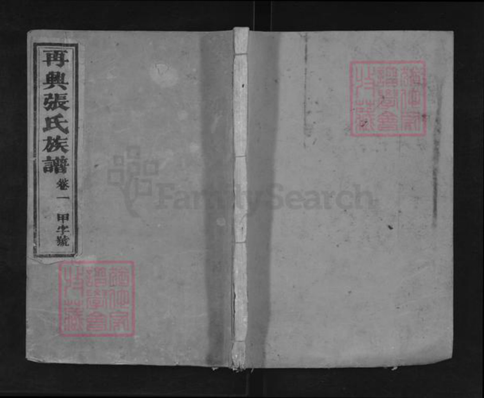 福建省龙岩市上杭县蛟洋镇张氏族谱-再兴张氏族谱.pdf电子版