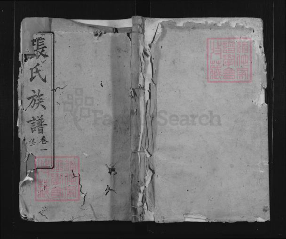 福建省南平市浦城县永兴镇张氏族谱-浦西张氏宗谱.pdf电子版