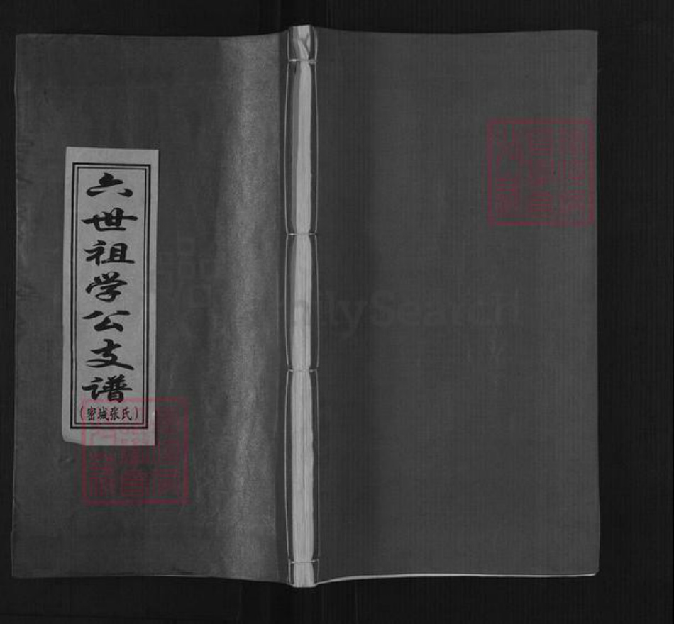 河南省郑州市新密市张氏族谱-六世祖学公支谱.密城张氏.pdf电子版