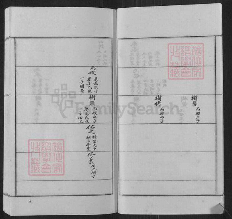 河南省郑州市新密市张氏族谱-六世祖学公支谱.密城张氏.pdf电子版插图4