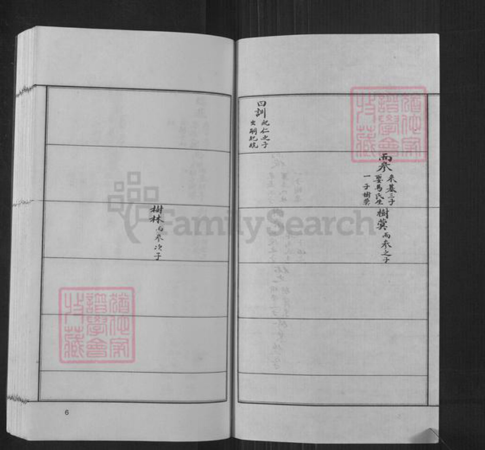 河南省郑州市新密市张氏族谱-六世祖学公支谱.密城张氏.pdf电子版插图5