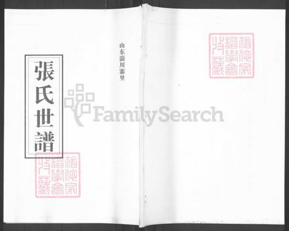 山东省淄博市淄川区张氏族谱-张氏世谱.pdf电子版
