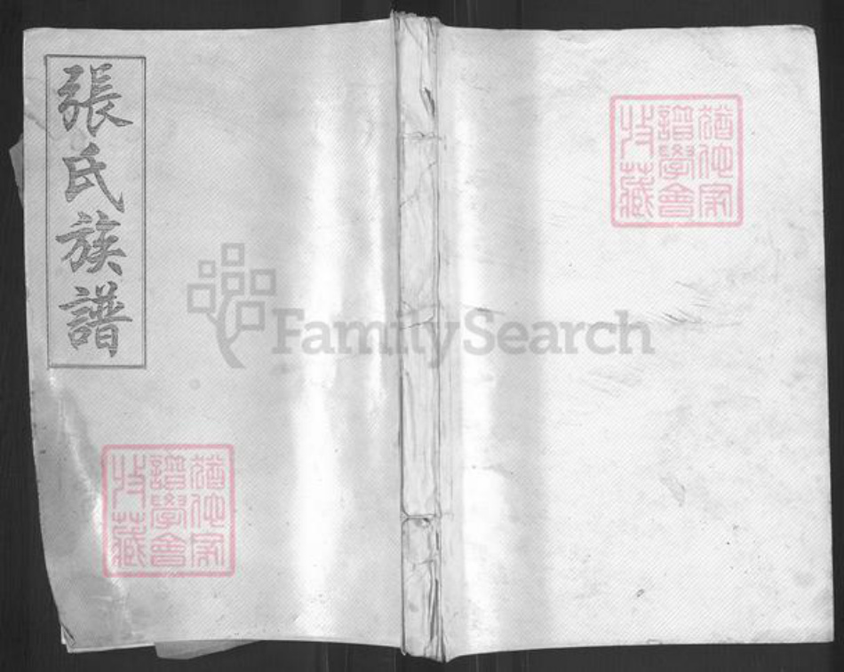 山东省枣庄市滕州市张氏族谱-张氏族谱.pdf电子版