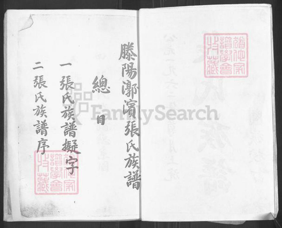 山东省枣庄市滕州市张氏族谱-张氏族谱.pdf电子版插图2