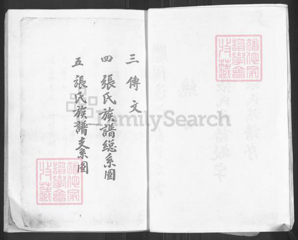 山东省枣庄市滕州市张氏族谱-张氏族谱.pdf电子版插图3