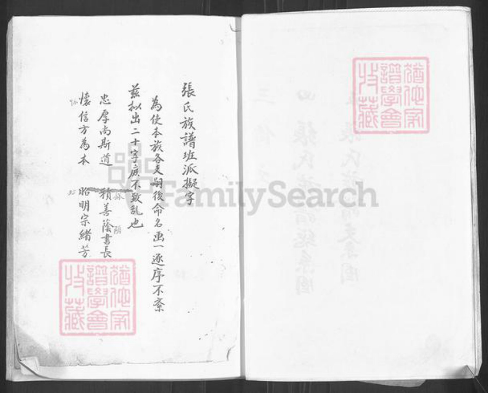 山东省枣庄市滕州市张氏族谱-张氏族谱.pdf电子版插图4