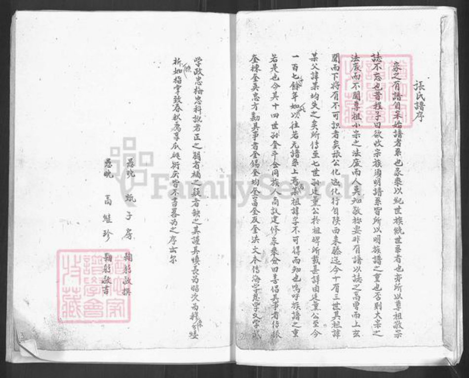 山东省枣庄市滕州市张氏族谱-张氏族谱.pdf电子版插图5