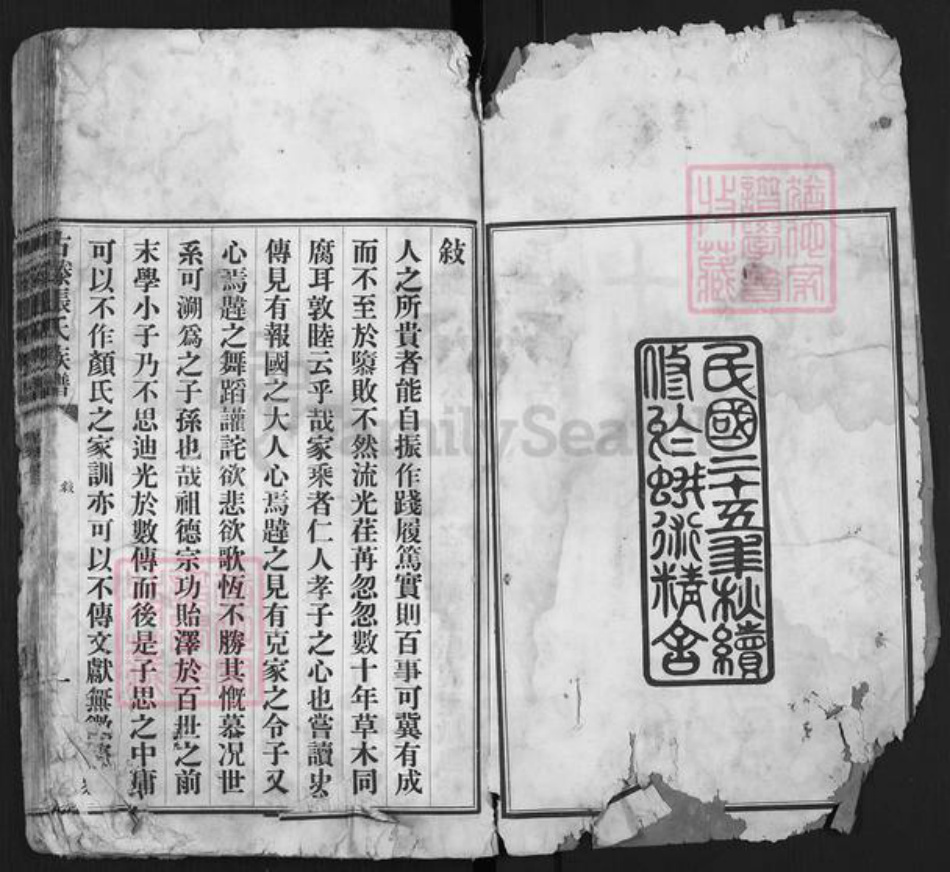 山东省枣庄市滕州市洪绪镇张氏族谱-古藤张氏族谱.pdf电子版插图1