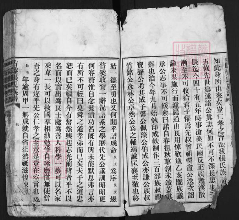 山东省枣庄市滕州市洪绪镇张氏族谱-古藤张氏族谱.pdf电子版插图2