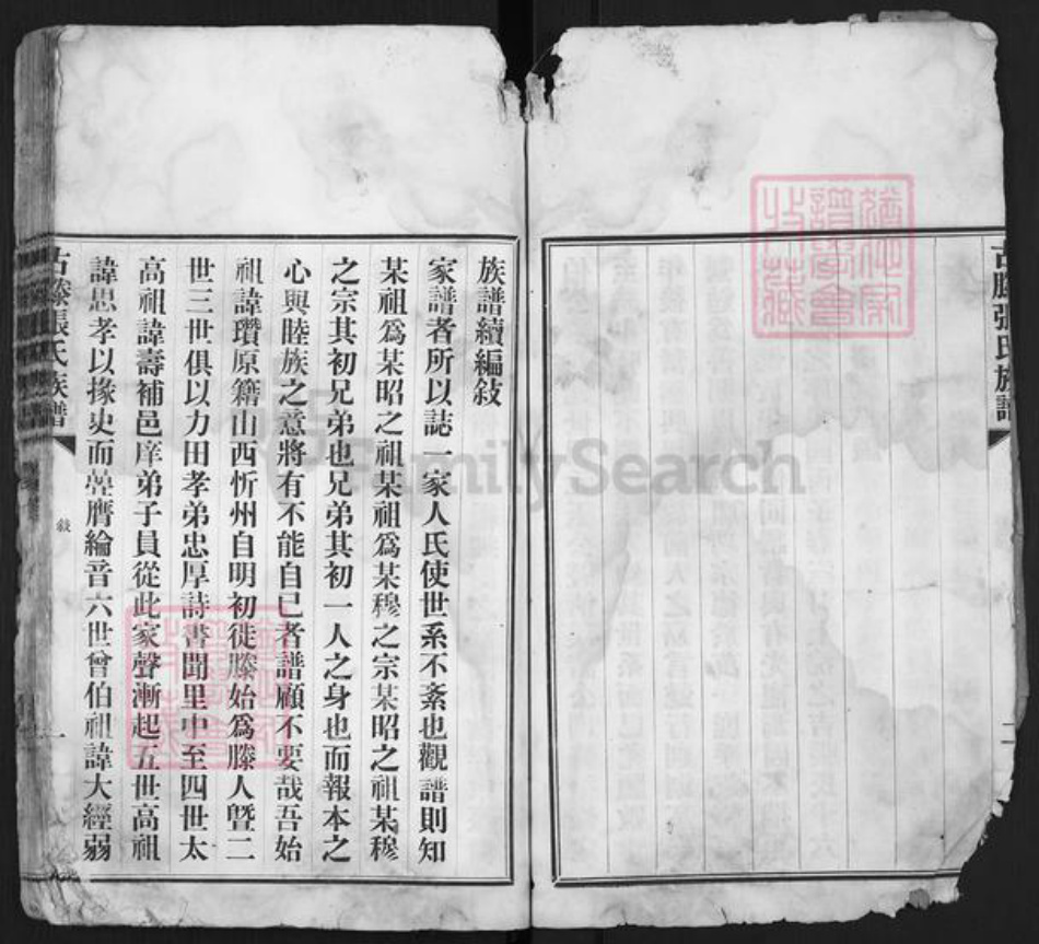 山东省枣庄市滕州市洪绪镇张氏族谱-古藤张氏族谱.pdf电子版插图5