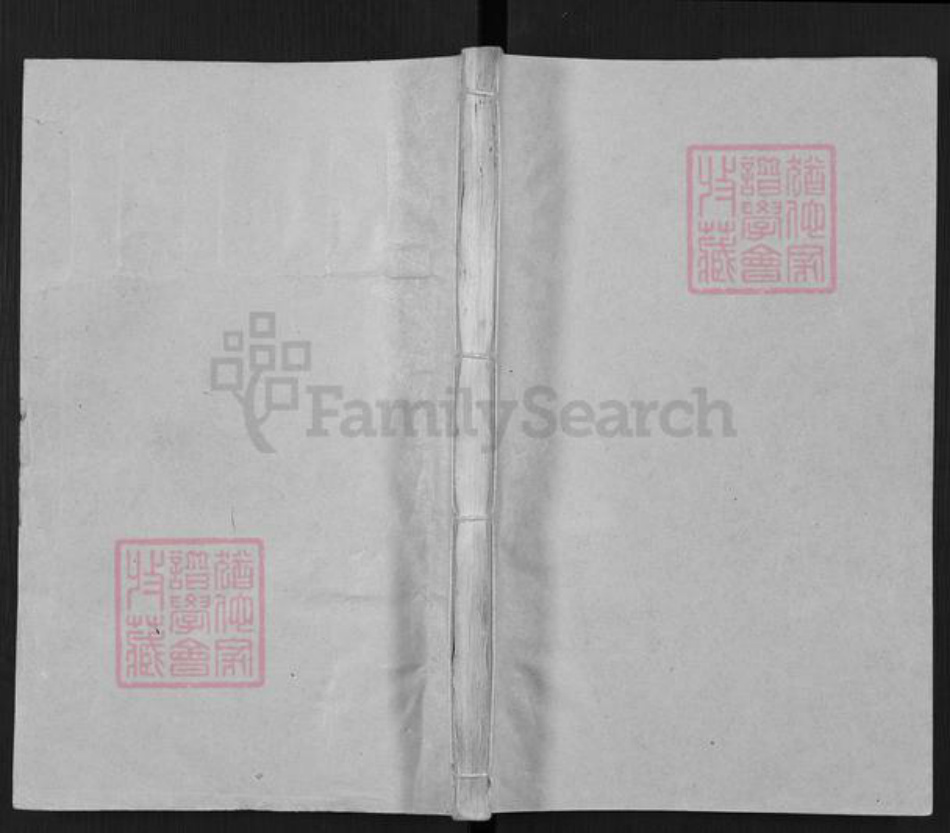 山东省泰安市东平县张氏族谱-张氏族谱.pdf电子版