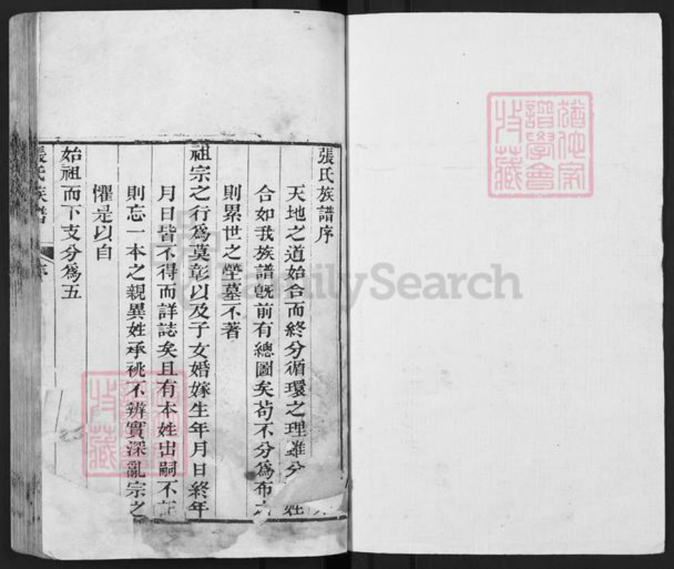 山东省泰安市东平县张氏族谱-张氏族谱.pdf电子版插图1 山东省泰安市东平县张氏族谱-张氏族谱.pdf电子版插图1