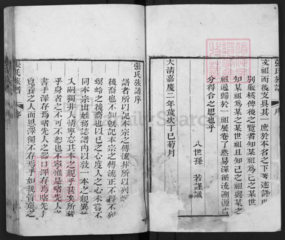 山东省泰安市东平县张氏族谱-张氏族谱.pdf电子版插图2 山东省泰安市东平县张氏族谱-张氏族谱.pdf电子版插图2