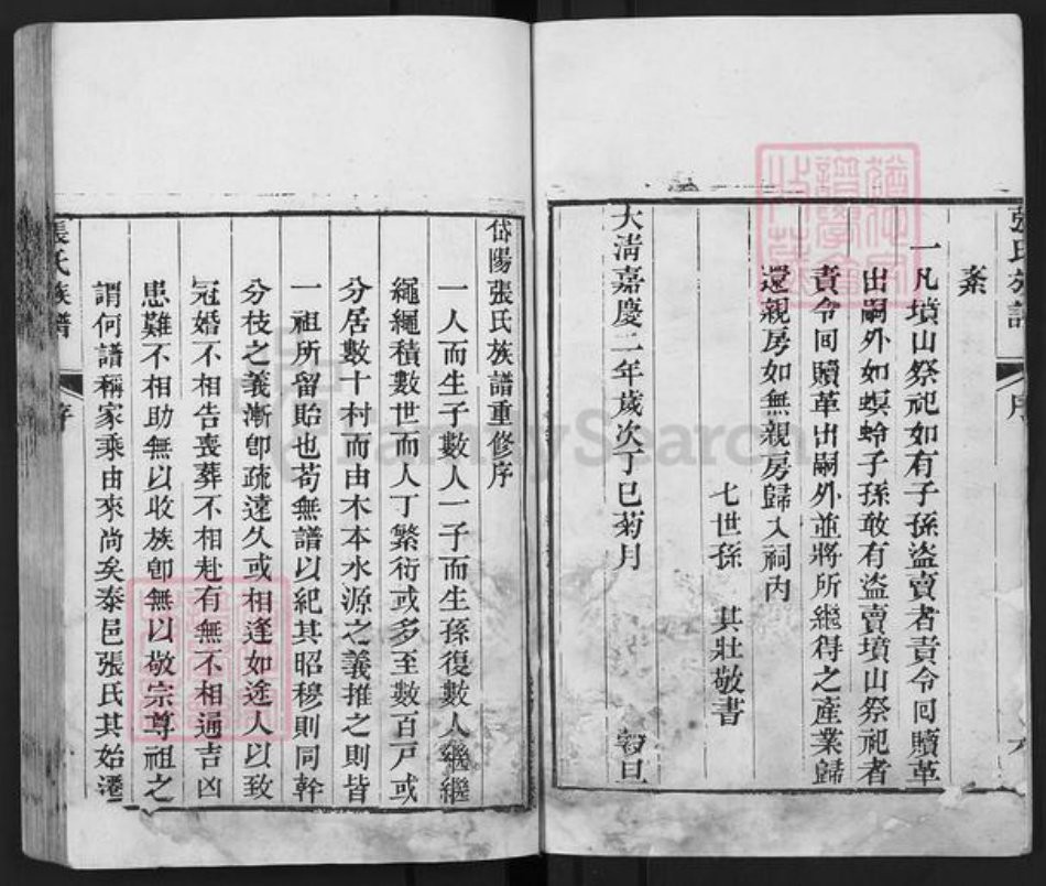 山东省泰安市东平县张氏族谱-张氏族谱.pdf电子版插图4 山东省泰安市东平县张氏族谱-张氏族谱.pdf电子版插图4