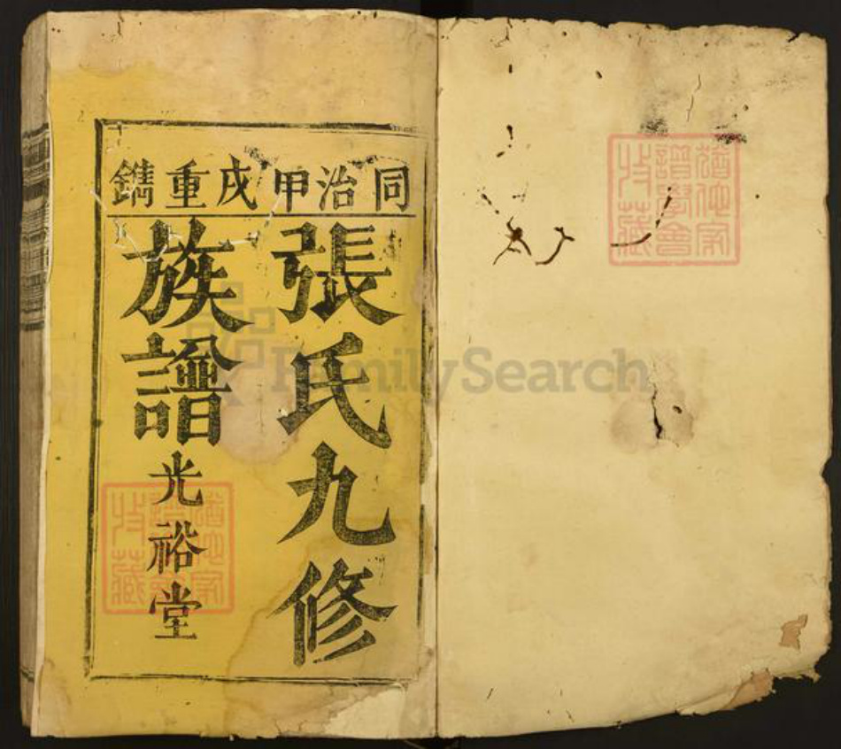 福建省漳州市漳浦县绥安镇张氏光裕堂族谱-张氏九修族谱正宗.pdf电子版插图1