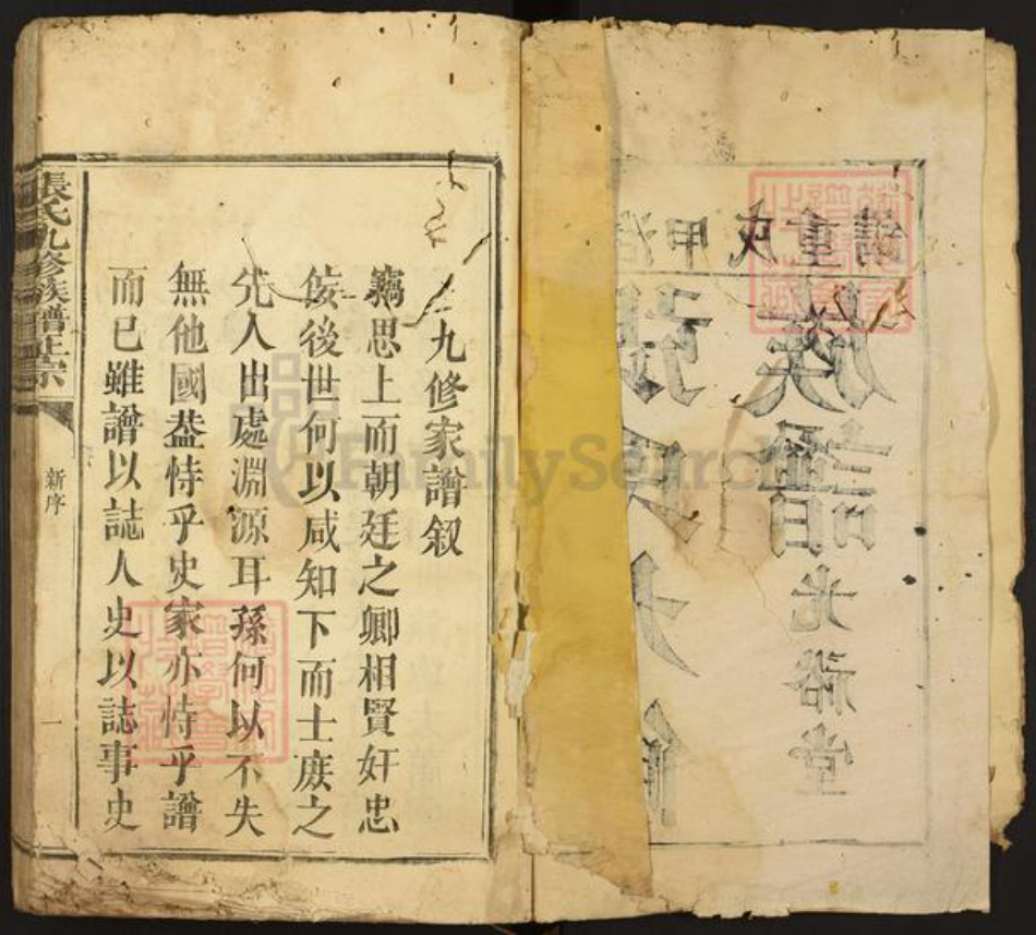 福建省漳州市漳浦县绥安镇张氏光裕堂族谱-张氏九修族谱正宗.pdf电子版插图2