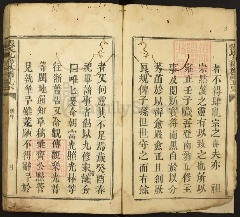 福建省漳州市漳浦县绥安镇张氏光裕堂族谱-张氏九修族谱正宗.pdf电子版插图5