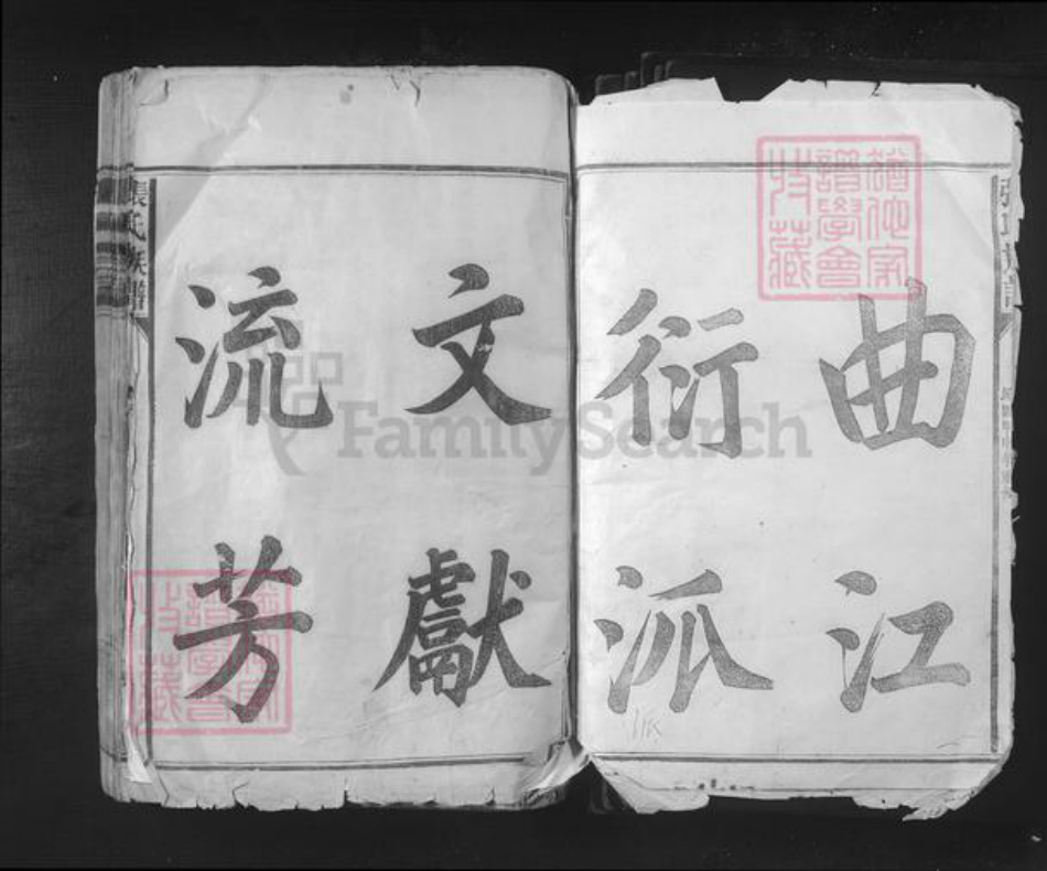 江西省赣州市宁都县小布镇张氏族谱-张氏宗谱.pdf电子版插图1