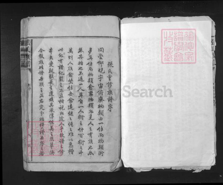 江西省赣州市宁都县小布镇张氏族谱-张氏宗谱.pdf电子版插图3